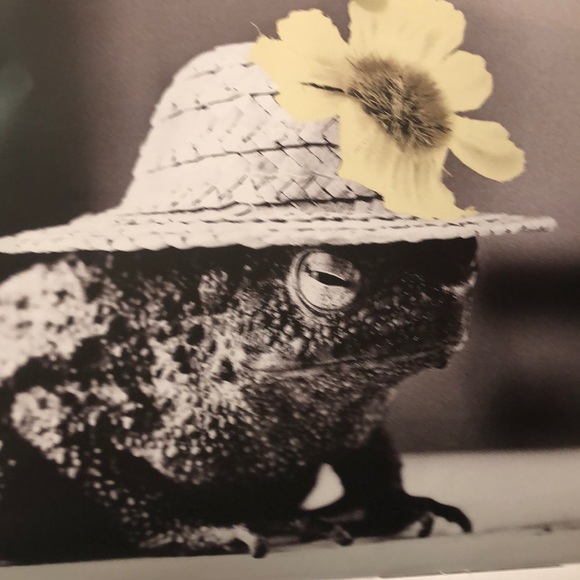 Meet your Posher, Dana - Picture 1 of 1